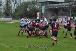 20241027_d1_sen1_rugby_liege_-_brc_0048.jpg - JPEG - 343.6 ko - 1500×996 px