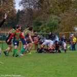 img_3543.jpg - JPEG - 661.4 ko - 2000×2000 px