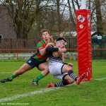 img_3919-4.jpg - JPEG - 615.8 ko - 2000×2000 px