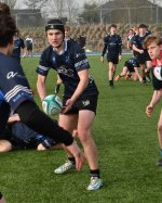 dsc_0851-5.jpg - JPEG - 243.2 ko - 1500×996 px