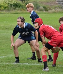 dsc_1494.jpg - JPEG - 234.2 ko - 2000×1325 px