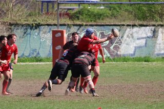 img_7915.jpg - JPEG - 211 ko - 2000×1460 px