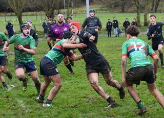 dsc_1889-3.jpg - JPEG - 552.6 ko - 2000×1325 px