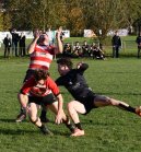 dsc_4102.jpg - JPEG - 592.4 ko - 1500×1617 px