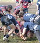 gp5f0203.jpg - JPEG - 753.7 ko - 2000×2139 px