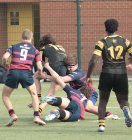 gp5f0971-3.jpg - JPEG - 628.7 ko - 2000×2130 px