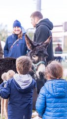 dsc00607.jpg - JPEG - 557 ko - 1500×2666 px