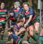 _nz88528.jpg - JPEG - 347.2 ko - 1024×1054 px