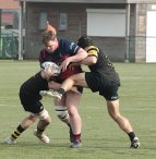 gp5f0929-2.jpg - JPEG - 561 ko - 2000×2051 px