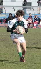 gp5f1732.jpg - JPEG - 984.5 ko - 2000×3370 px