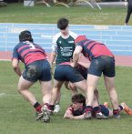 gp5f1844.jpg - JPEG - 569.7 ko - 2000×2032 px