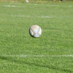 dsc_4045-5.jpg - JPEG - 307.8 ko - 1500×1513 px