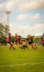 dsc01755.jpg - JPEG - 1.4 Mo - 2000×3270 px