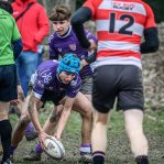 _nz87718.jpg - JPEG - 284.2 ko - 1024×1026 px