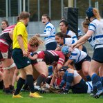 img_0439-4.jpg - JPEG - 534.5 ko - 2000×2001 px