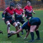 img_5269-2.jpg - JPEG - 536.9 ko - 2000×2001 px