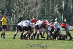 20250316_d2_sen2_rc_diabolos_-_rhinos_rugby_0126.jpg - JPEG - 356.8 ko - 1500×996 px