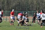 20250316_d2_sen2_rc_diabolos_-_rhinos_rugby_0151.jpg - JPEG - 362.1 ko - 1500×996 px