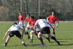 20250316_d2_sen2_rc_diabolos_-_rhinos_rugby_0212.jpg - JPEG - 388.8 ko - 1500×996 px