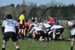 20250316_d2_sen2_rc_diabolos_-_rhinos_rugby_0253.jpg - JPEG - 359.7 ko - 1500×996 px