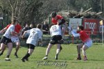 20250316_d2_sen2_rc_diabolos_-_rhinos_rugby_0290.jpg - JPEG - 349.3 ko - 1500×996 px