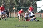 20250316_d2_sen2_rc_diabolos_-_rhinos_rugby_0419.jpg - JPEG - 346.4 ko - 1500×996 px