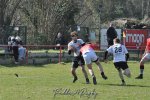 20250316_d2_sen2_rc_diabolos_-_rhinos_rugby_0467.jpg - JPEG - 389 ko - 1500×996 px