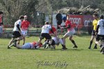 20250316_d2_sen2_rc_diabolos_-_rhinos_rugby_0471.jpg - JPEG - 375.8 ko - 1500×996 px