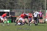 20250316_d2_sen2_rc_diabolos_-_rhinos_rugby_0544.jpg - JPEG - 347.4 ko - 1500×996 px