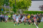 2026_halve_finale_soignies-drc_38-11-0995.jpg - JPEG - 484.4 ko - 1920×1277 px