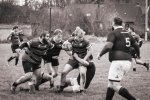 senior_binche_-_ciney_2024_-_rugby_-_rcc_binche_-_www.photoperinne.be_-_photo_sportive_-12.jpg - JPEG - 401.1 ko - 2000×1333 px