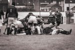 senior_binche_-_ciney_2024_-_rugby_-_rcc_binche_-_www.photoperinne.be_-_photo_sportive_-16.jpg - JPEG - 392.3 ko - 2000×1333 px
