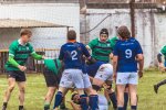 senior_binche_-_ciney_2024_-_rugby_-_rcc_binche_-_www.photoperinne.be_-_photo_sportive_-29.jpg - JPEG - 463.6 ko - 2000×1333 px