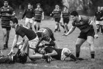 senior_binche_-_ciney_2024_-_rugby_-_rcc_binche_-_www.photoperinne.be_-_photo_sportive_-42.jpg - JPEG - 365.7 ko - 2000×1333 px