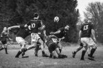 senior_binche_-_ciney_2024_-_rugby_-_rcc_binche_-_www.photoperinne.be_-_photo_sportive_-51.jpg - JPEG - 355.7 ko - 2000×1333 px