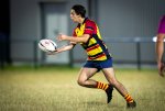 dsc_5150-5.jpg - JPEG - 278.6 ko - 2000×1336 px