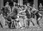 _nz86092.jpg - JPEG - 283.7 ko - 1024×741 px