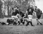 senior_binche_-_ciney_2024_-_rugby_-_rcc_binche_-_www.photoperinne.be_-_photo_sportive_-52.jpg - JPEG - 476.3 ko - 2000×1600 px