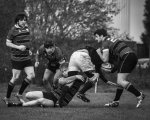 senior_binche_-_ciney_2024_-_rugby_-_rcc_binche_-_www.photoperinne.be_-_photo_sportive_-54.jpg - JPEG - 432.1 ko - 2000×1600 px