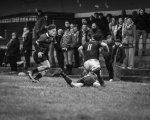 senior_binche_-_ciney_2024_-_rugby_-_rcc_binche_-_www.photoperinne.be_-_photo_sportive_-60.jpg - JPEG - 419.1 ko - 2000×1600 px