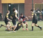 gp5f0964-2.jpg - JPEG - 582.6 ko - 2000×1754 px