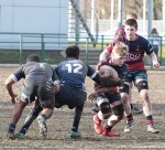 gp5f0344.jpg - JPEG - 606.7 ko - 2000×1807 px