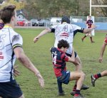 gp5f4908.jpg - JPEG - 536.3 ko - 2000×1827 px