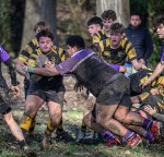 _nz87983.jpg - JPEG - 331.7 ko - 1024×981 px