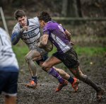 _nz87343.jpg - JPEG - 243.8 ko - 1024×1003 px