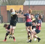 gp5f0903.jpg - JPEG - 543.5 ko - 2000×1960 px