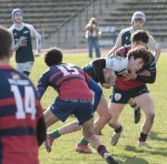 gp5f2034-2.jpg - JPEG - 531.1 ko - 2000×1961 px