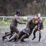 dsc02636-avec_accentuation-bruit.jpg - JPEG - 690.5 ko - 2000×2000 px