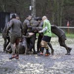 dsc02687-avec_accentuation-bruit.jpg - JPEG - 668.4 ko - 2000×2000 px