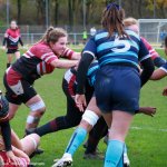 img_1351.jpg - JPEG - 566.3 ko - 2000×2000 px